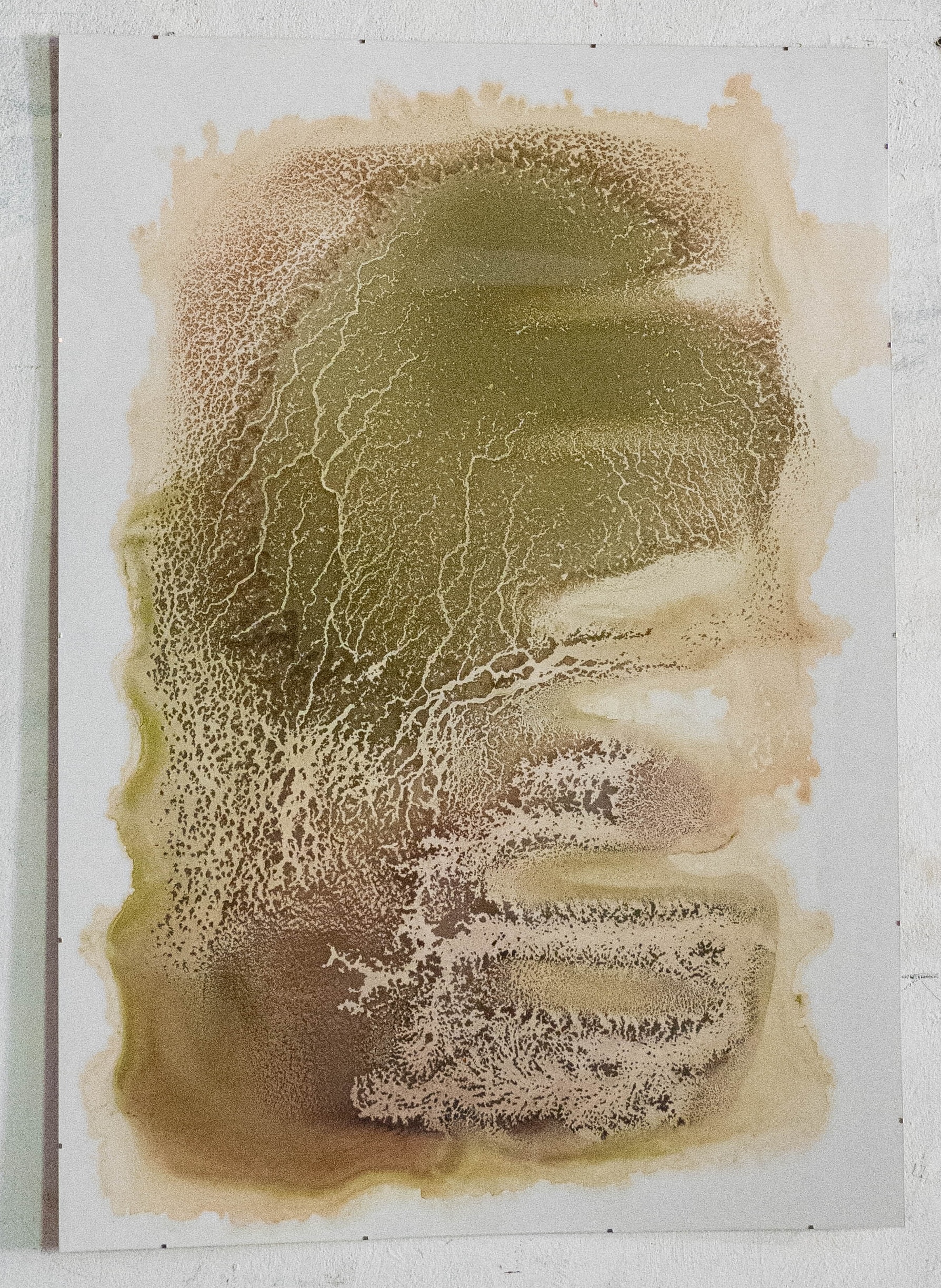 Liza Überall, Chroma Endosymbiosis I, 2025, Pflanzenmaterial, Alkohol, Steinpapier, 84,1×118,9 cm Kopie