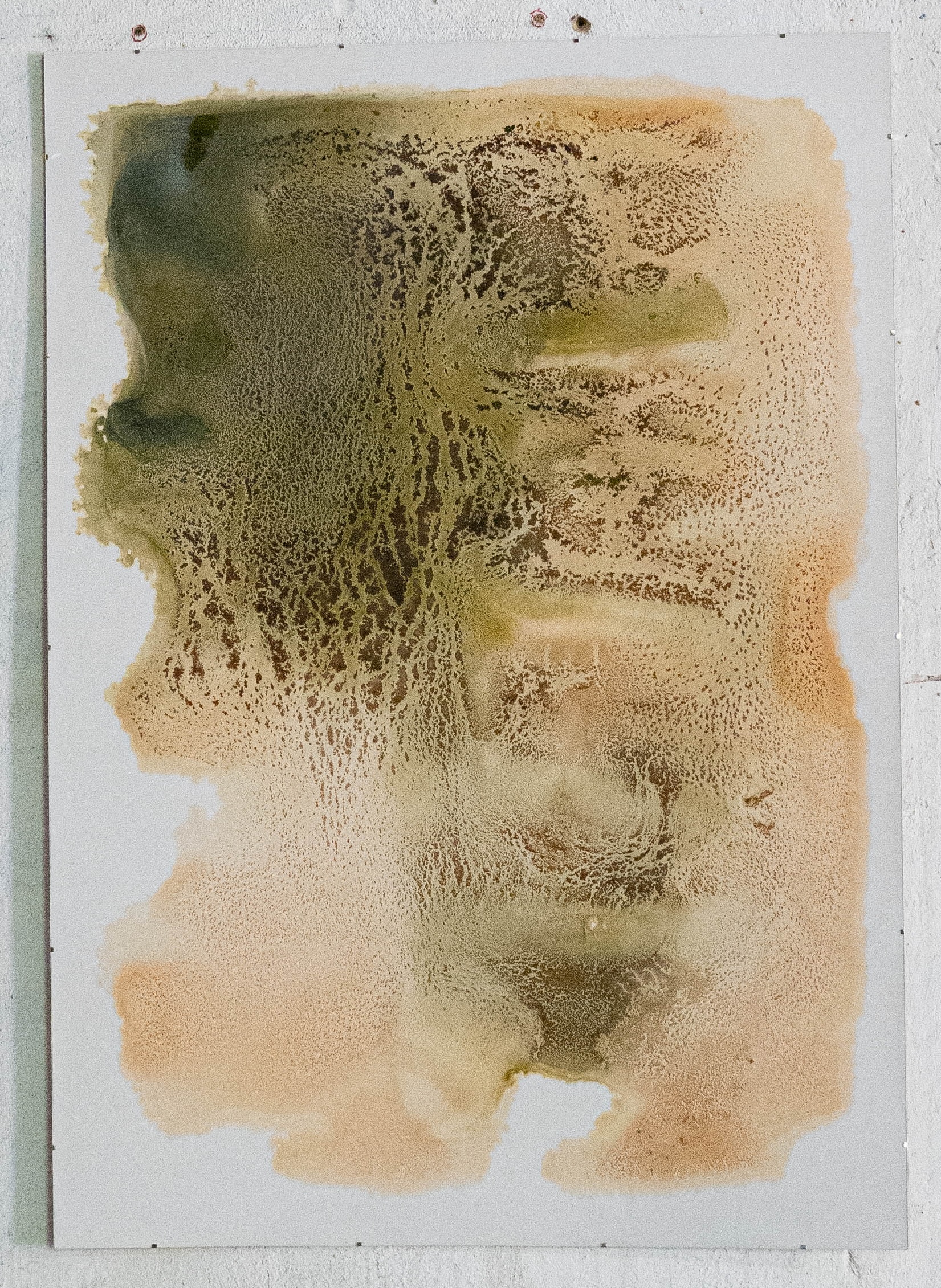 Liza Überall, Chroma Endosymbiosis II, 2025, Pflanzenmaterial, Alkohol, Steinpapier, 84,1×118,9 cm Kopie