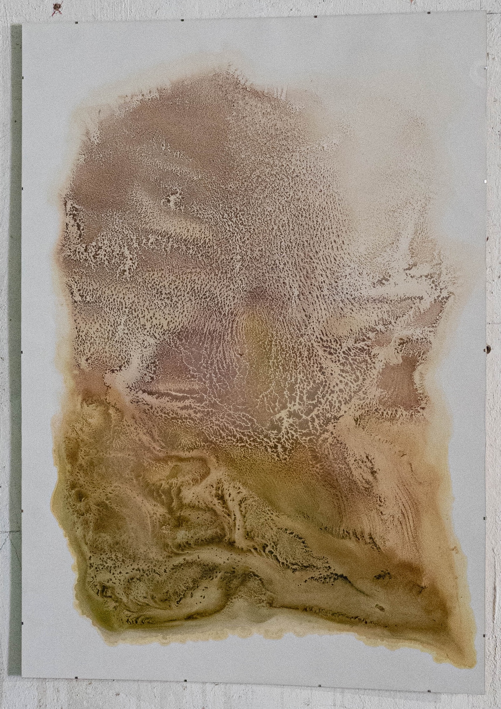 Liza Überall, Chroma Endosymbiosis III, 2025, Pflanzenmaterial, Alkohol, Steinpapier, 84,1×118,9 cm Kopie