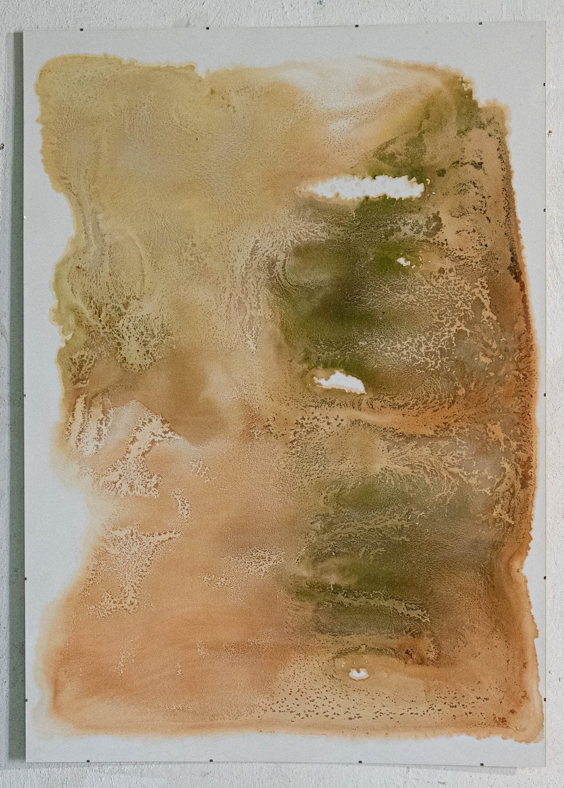Liza Überall, Chroma Endosymbiosis IV, 2025, Pflanzenmaterial, Alkohol, Steinpapier, 84,1×118,9 cm Kopie