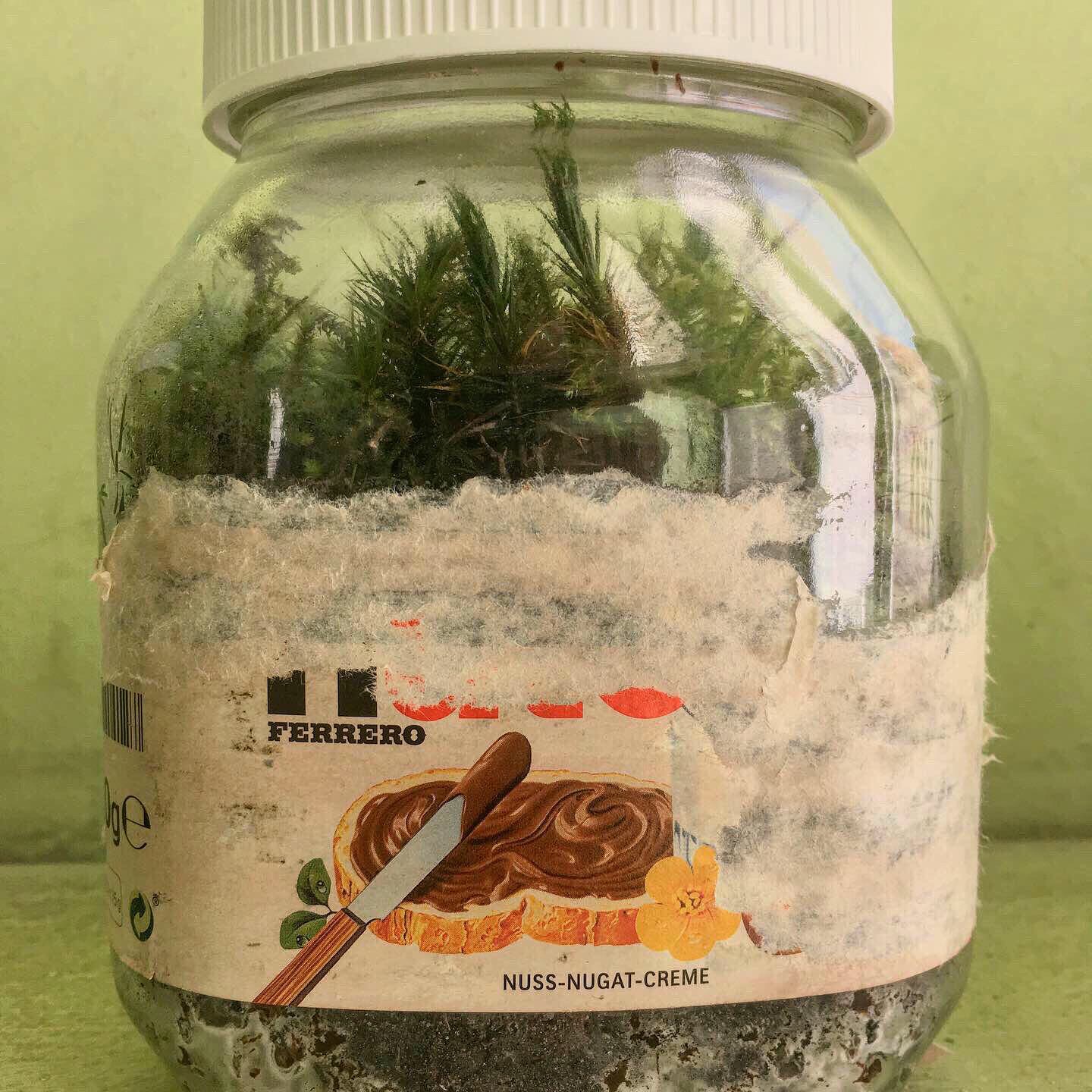Liza Ueberall Regenwald ist Lunge Nutella is Liebe 4